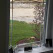 Picture Window